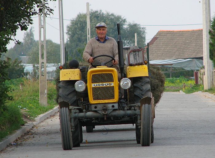 Kola Traktorysta