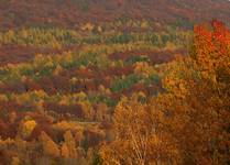 Bieszczady w pełni kolorów jesieni