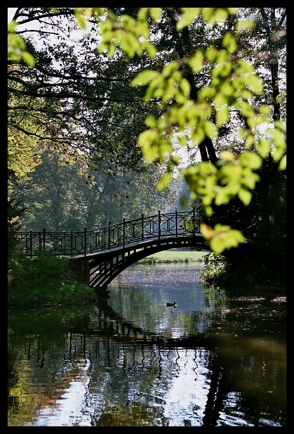 Pszczyna - park