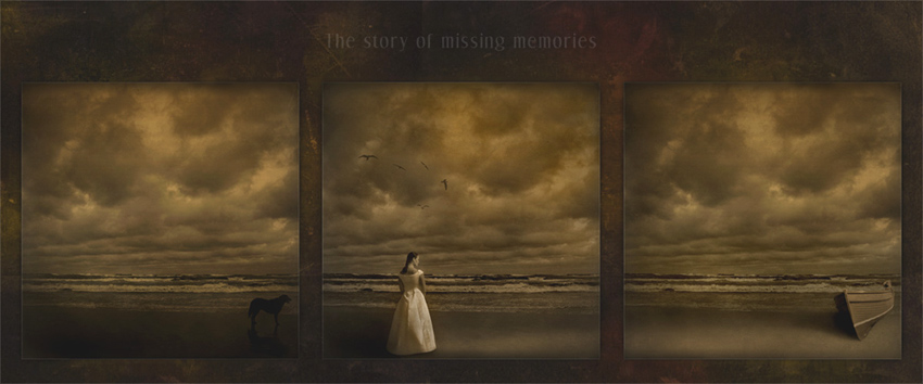 The Story Of Missing Memories