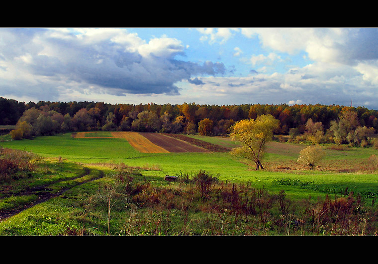 jesienią...