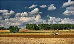 Przy drodze na Warmię i Mazury