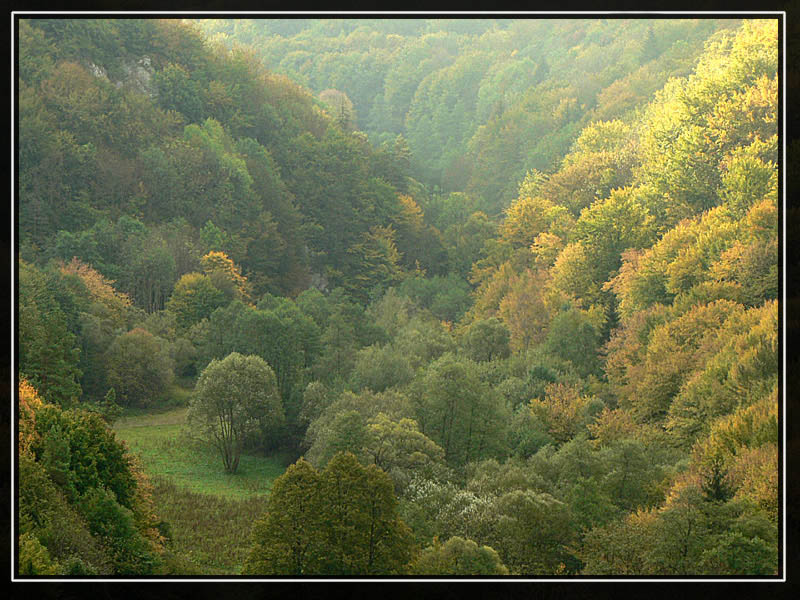 Dolina w Jesieni