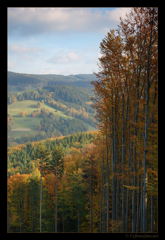 Złota jesień