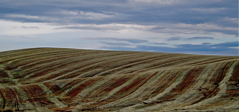 Windows XP - po żniwach.