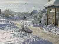 nagły atak zimy! brrrr