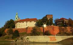 Wawel - puszcza oczko..