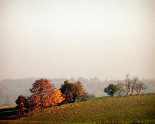 Jesień w pełni