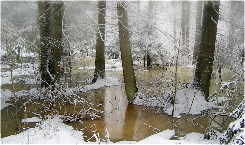 Pierwszy śnieg