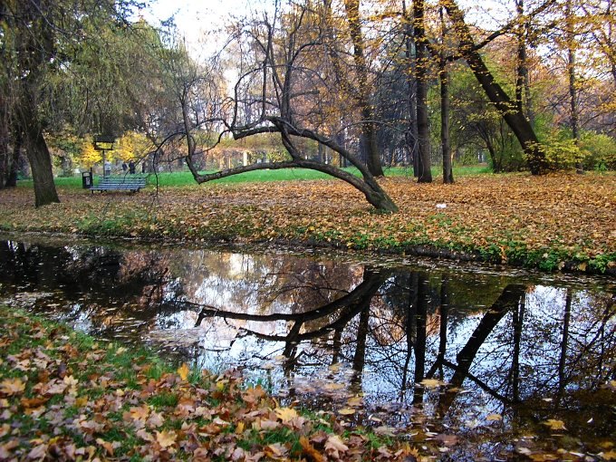 W parku jak w parku, każdy widzi.