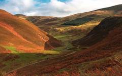 Pentland Hills II