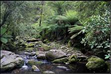 Erskine Falls-strumien