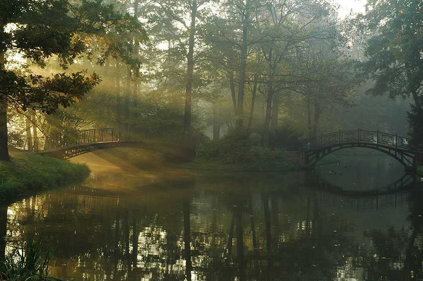 Poranek w parku Pszczyńskim