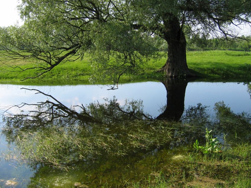 Zawrót głowy.