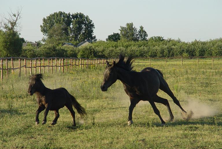 Ostry zakręt