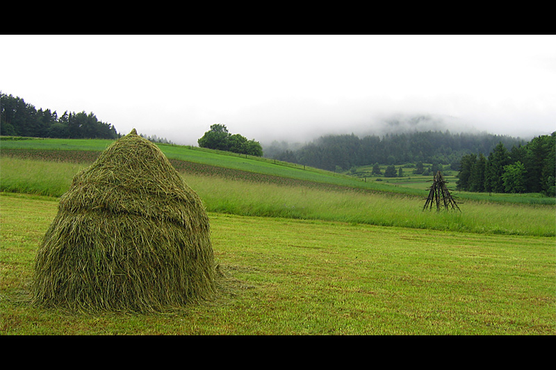 Lato w Beskidach