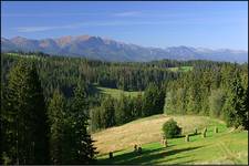 Z Wierchu Olczańskiego na Tatry