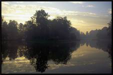 poranek park Pszczyna