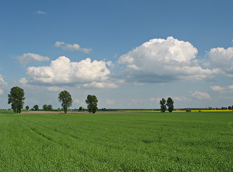 Wielkopolska wiosną