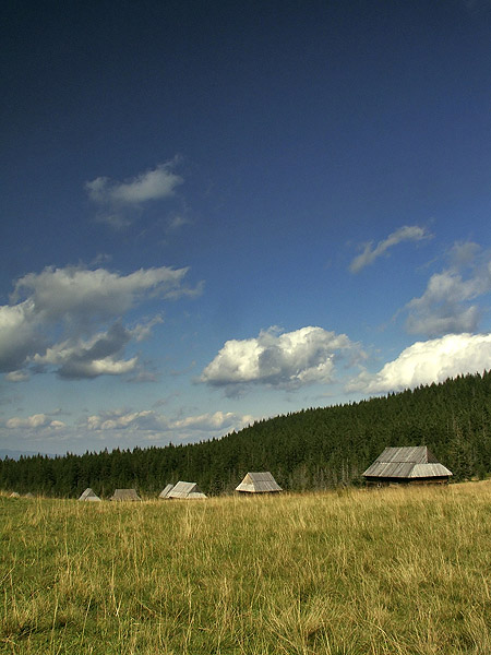 hala pod kopieńcem