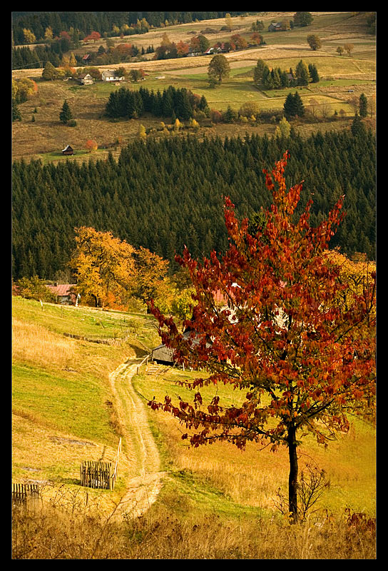 Dolina Jesieni