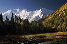 Nanga Parbat (8125m)