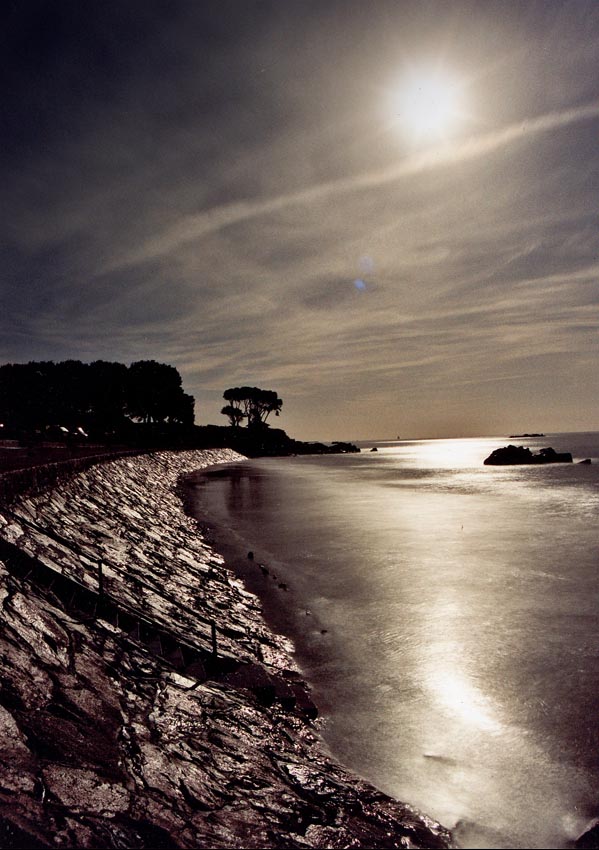 moonlit strand