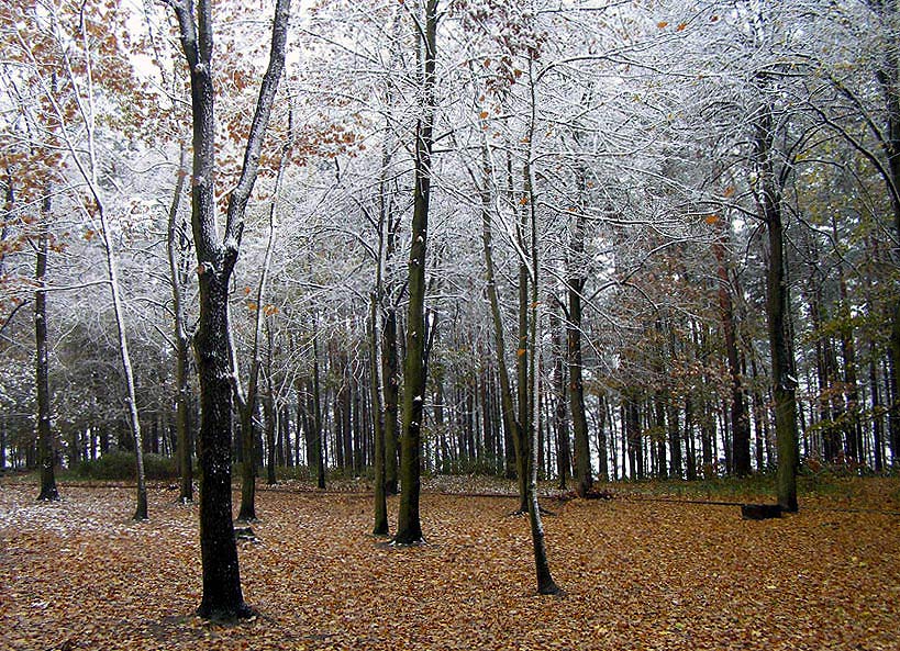 Pierwszy śnieg II...