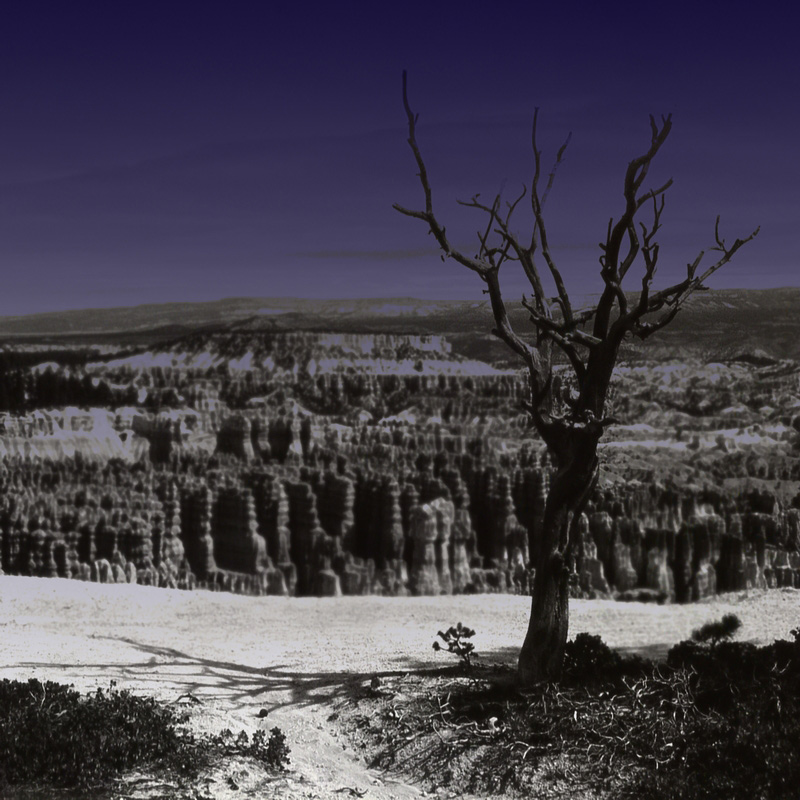 Bryce Canyon