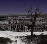 Bryce Canyon