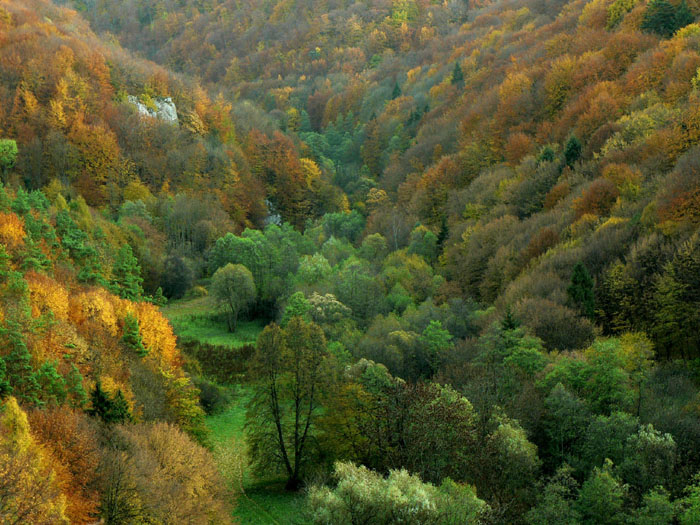 Dolina w kolorach