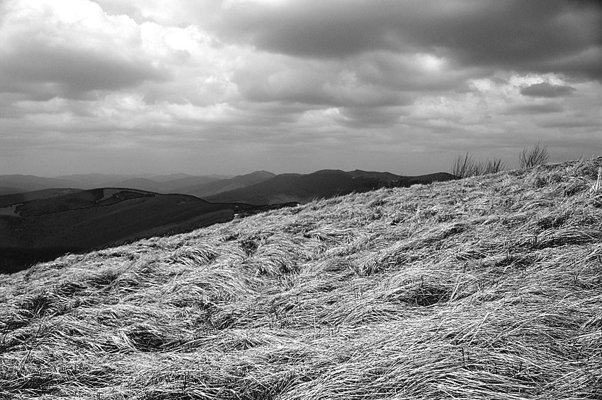 Biesy i Czady