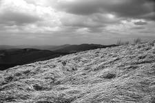 Biesy i Czady