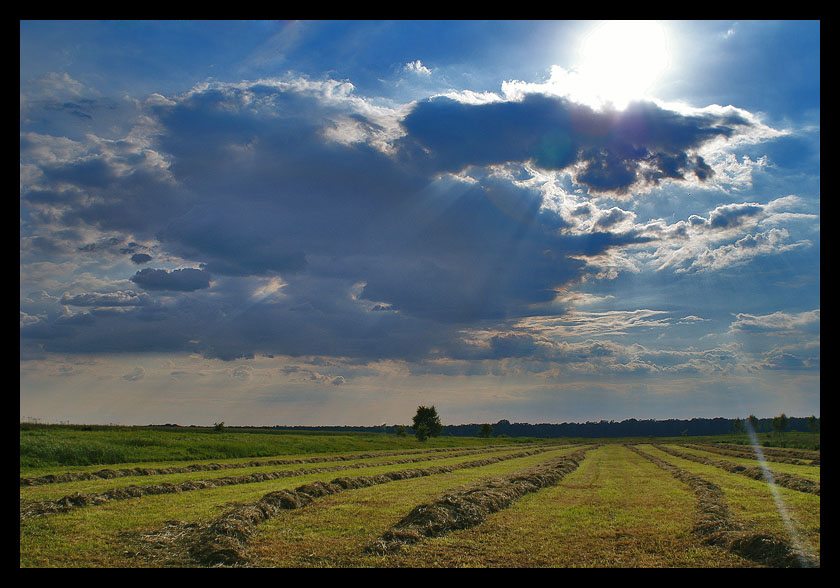 szkoda lata