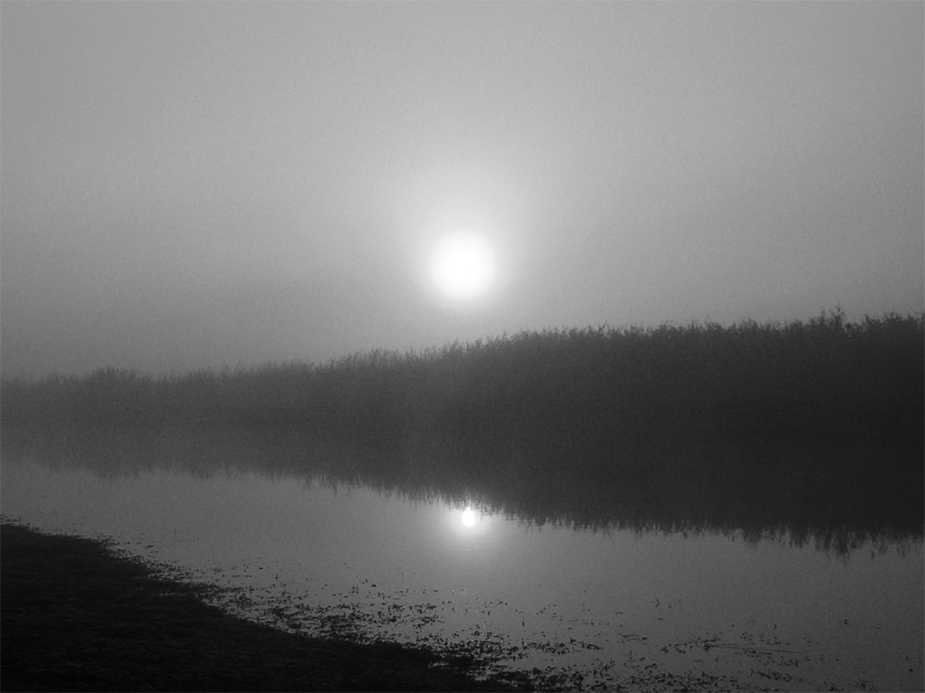 poranek nad rzeczką