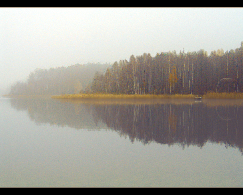 Pajęczynka