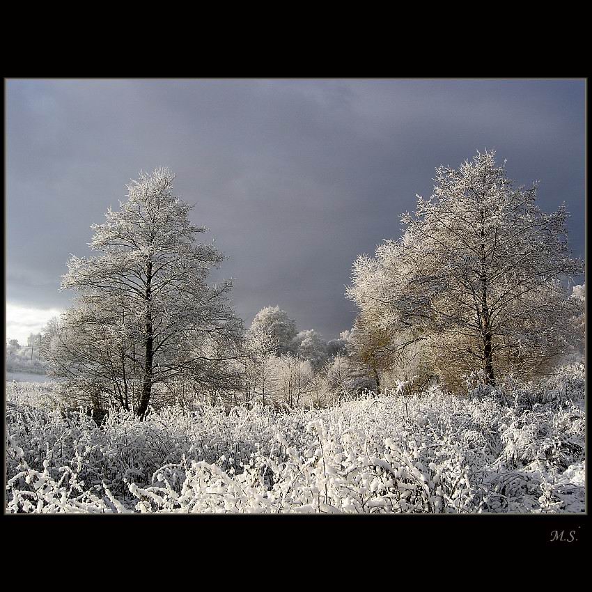 Śnieżny zachwyt