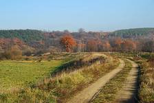 drogą ku jesieni