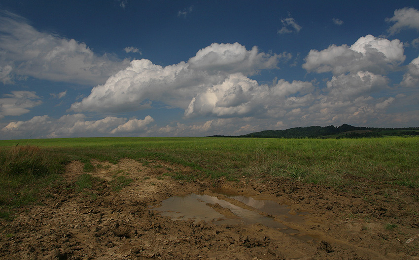 słoneczny pejzaż