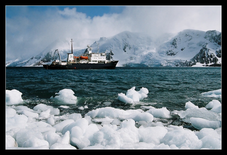 Polar Pioneer w Zatoce Admiralicji