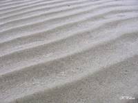 Sand