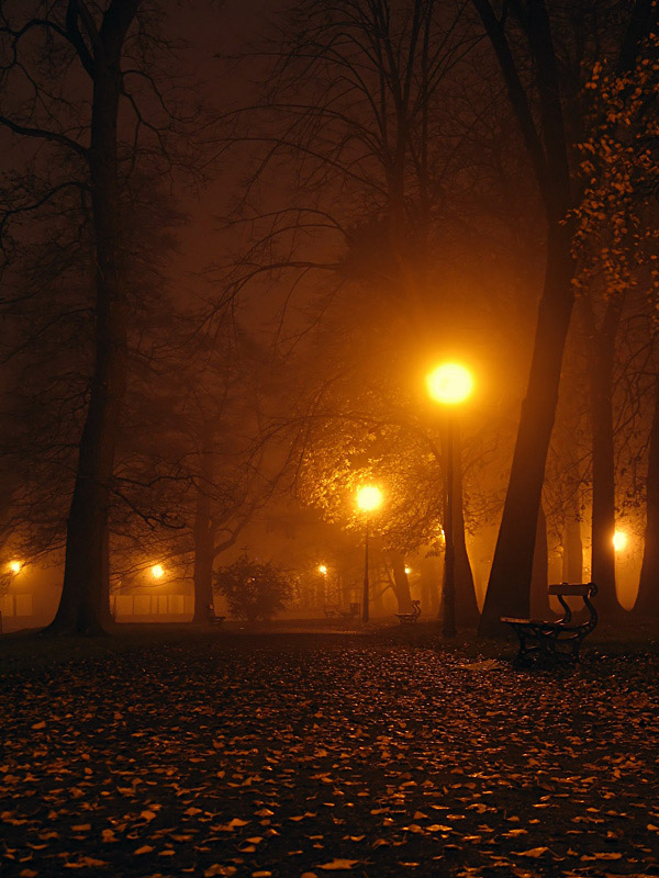 PArk Reymonta - Łódź