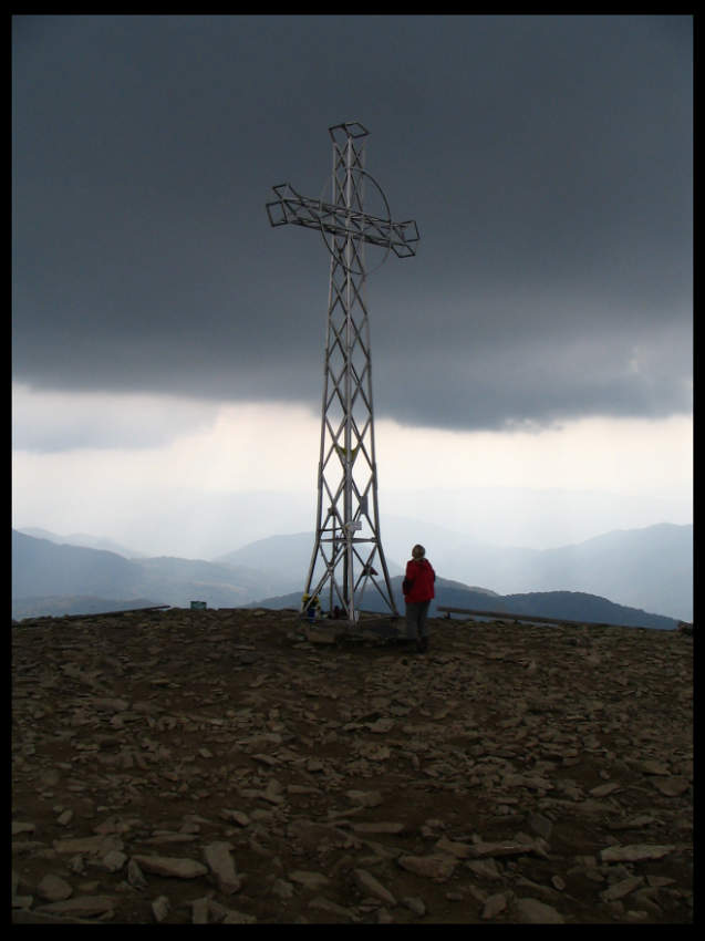 Tarnica