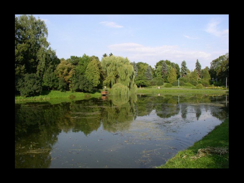 Park w Zamościu