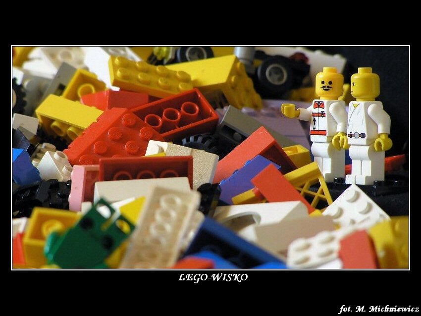 LEGO-WISKO