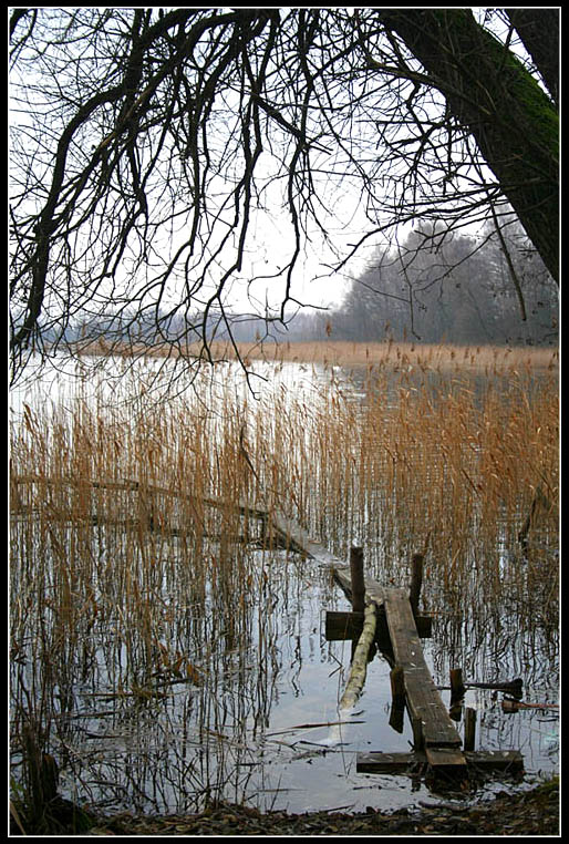 mazury