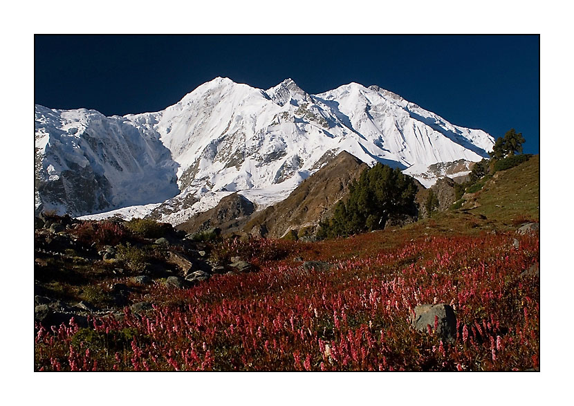 Karakorum - Rakaposhi (7788m)