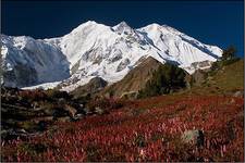 Karakorum - Rakaposhi (7788m)