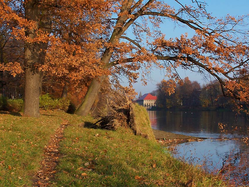 magiczna ścieżka nad rzeką