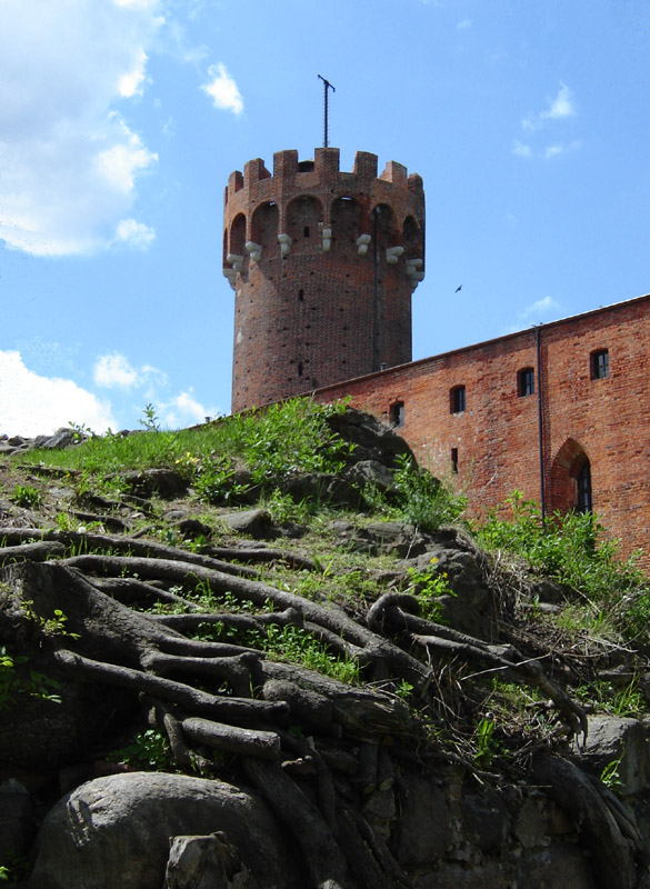 zamek krzyżacki w Świeciu